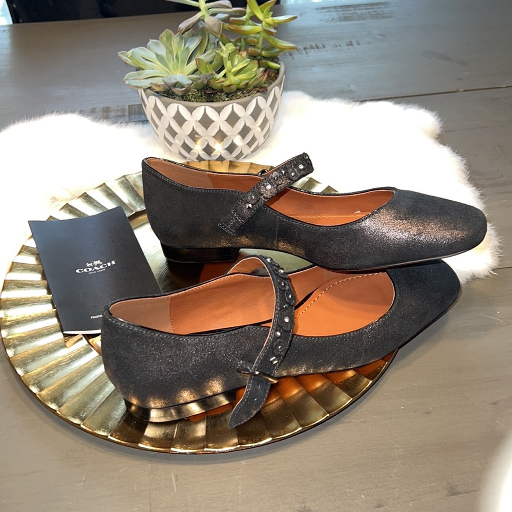 ❤️New! Coach, Mary Jane, Tea Rose Stud, Suede Leather, flats
